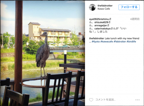 スクリーンショット 2016-06-20 17.30.22