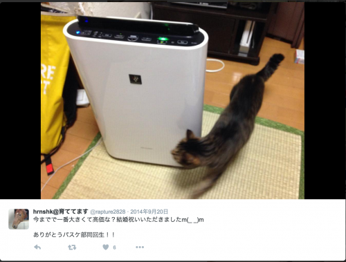 スクリーンショット 2016-06-02 10.45.08
